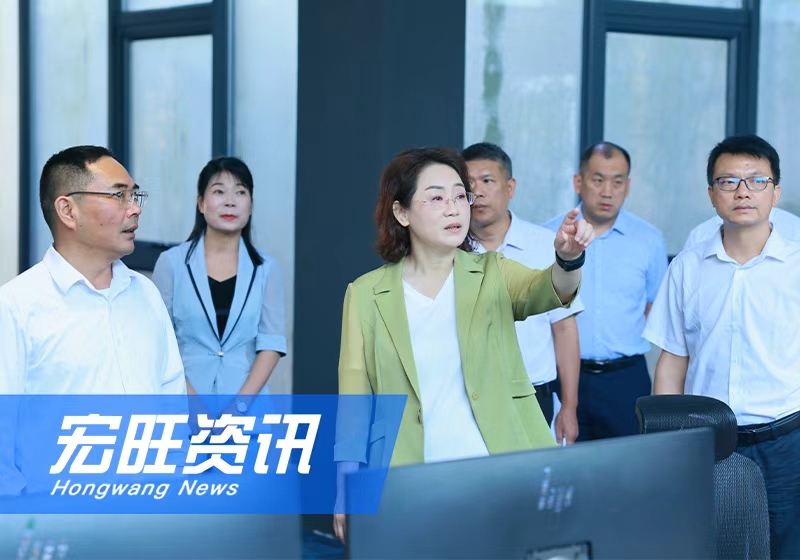 防城港市委書記黃江一行蒞臨廣西宏旺調研